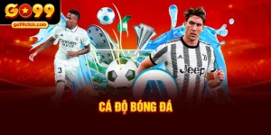 cá độ bóng đá