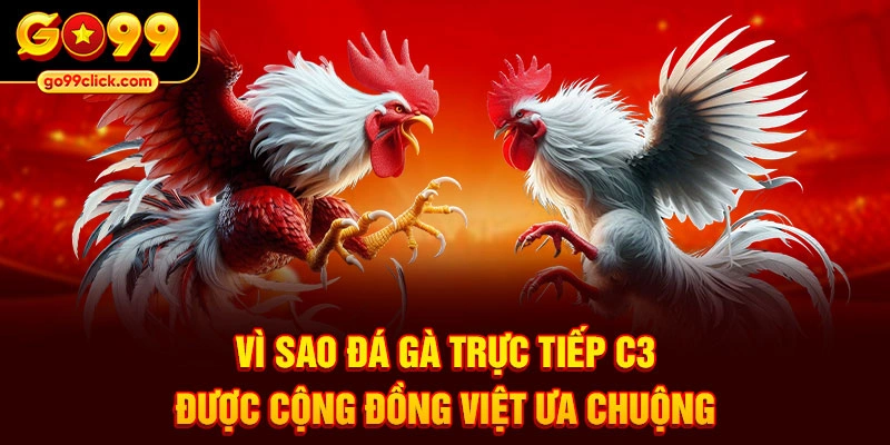 Vì sao đá gà trực tiếp C3 được cộng đồng Việt ưa chuộng